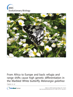 From Africa to Europe and back: refugia and range shifts cause high