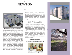 The Newton