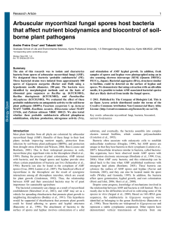 Arbuscular mycorrhizal fungal spores host bacteria that affect
