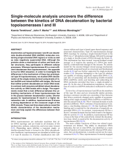 Single-molecule analysis uncovers the difference