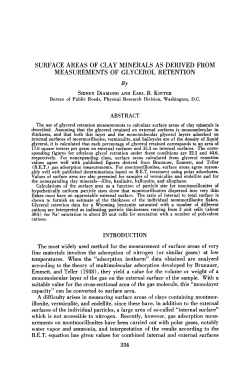 surface areas of clay minerals as derived from measurements of