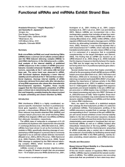Functional siRNAs and miRNAs Exhibit Strand