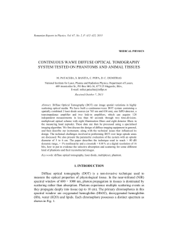 continuous wawe diffuse optical tomography system tested on
