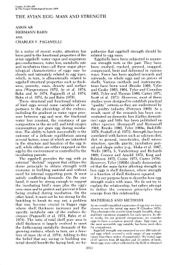 The Avian Egg: Mass and Strength
