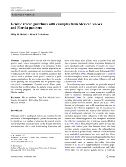 Genetic rescue guidelines with examples from Mexican wolves and