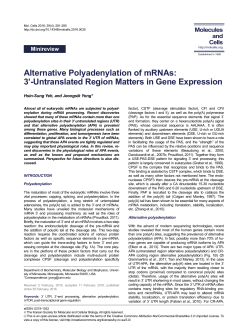 Alternative Polyadenylation of mRNAs: 3`