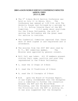 2008 S-ANON WORLD SERVICE CONFERENCE MINUTES