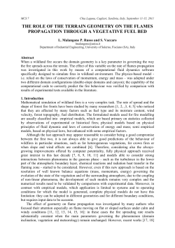 the role of the terrain geometry on the flames propagation through a