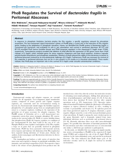 PhoB Regulates the Survival of Bacteroides fragilis in Peritoneal