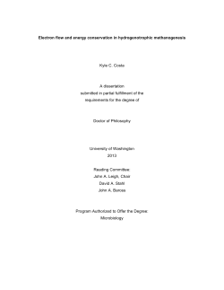 Electron flow and energy conservation in hydrogenotrophic