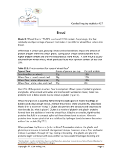 Bread - University of San Diego Home Pages