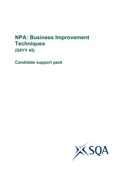 NPA: Business Improvement Techniques