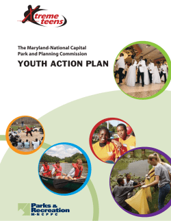 the Youth Action Plan