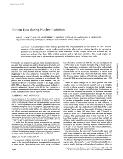 Protein Loss during Nuclear Isolation