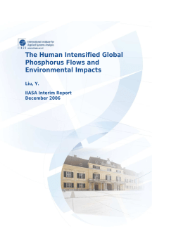 The Human Intensified Global Phosphorus Flows and