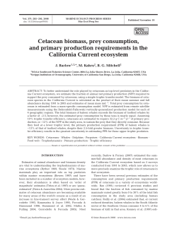 Cetacean biomass, prey consumption, and primary production