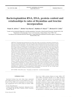 Bacterioplankton RNA, DNA, protein content and relationships to