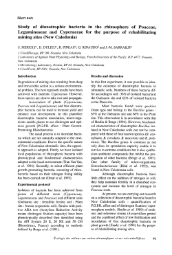 Study of diazotrophic bacteria in the rhizosphere of Poaceae