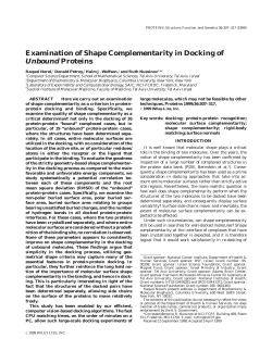 Examination of Shape Complementarity in Docking of