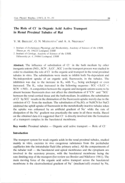 2 I The Role of CI in Organic Acid Active Transport in Renal Proximal