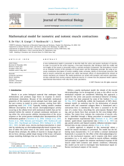Mathematical model for isometric and isotonic muscle contractions