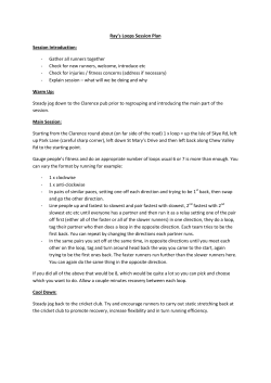 Ray`s Loops Session Plan