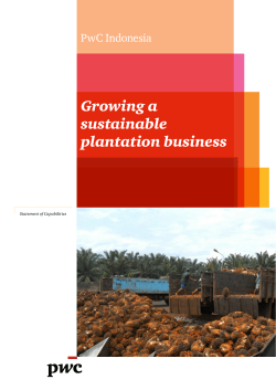 Growing a sustainable plantation business