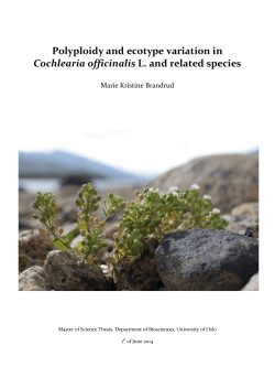 Polyploidy and ecotype variation in Cochlearia officinalis L. and