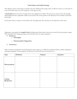 Food Chains and Cellular Energy The ultimate source of all energy