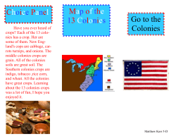 Choice Panel Go to the Colonies Map of the 13 Colonies