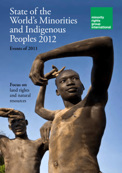 State of the World`s Minorities and Indigenous Peoples 2012