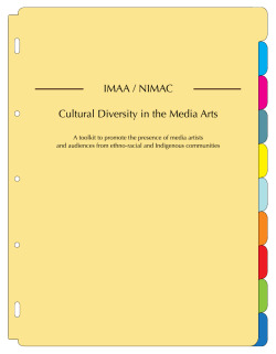 Cultural Diversity in the Media Arts