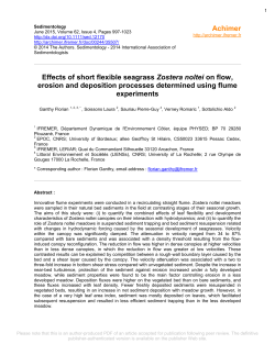 Effects of short flexible seagrass Zostera noltei on flow, erosion and