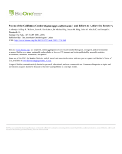 Status of the California Condor - School of Environmental and Forest