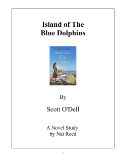Island Of The Blue Dolphins