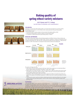 Baking quality of spring wheat variety mixtures