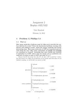 Assignment 2 Biophys 4322/5322