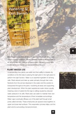 Hennepin County Home Landscaping, Chapter 8