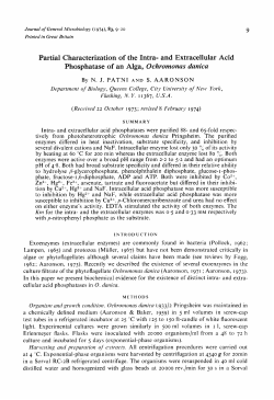 Partial Characterization of the Intra- and Extracellular