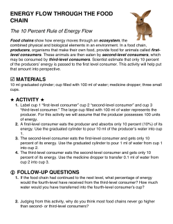 ENERGY FLOW THROUGH THE FOOD CHAIN