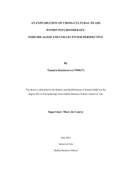 AN EXPLORATION OF CROSS-CULTURAL DYADS WITHIN