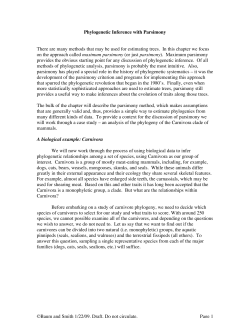 Phylogenetic Inference with Parsimony