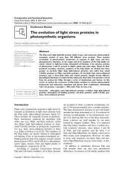 The evolution of light stress proteins in photosynthetic organisms