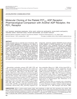 Molecular Cloning of the Platelet P2TAC ADP Receptor