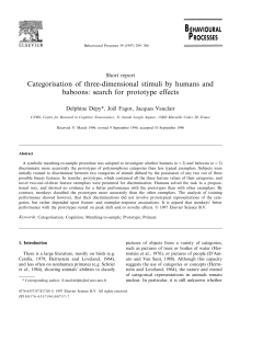 Categorisation of three-dimensional stimuli by humans and baboons
