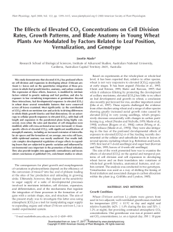 The Effects of Elevated CO2 Concentrations on Cell Division Rates