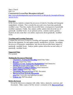 Constructivist Lesson Plan