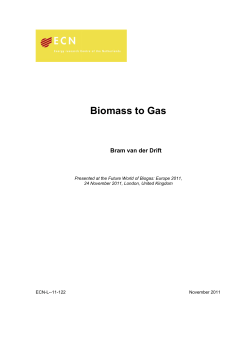 BIOMASS to GAS