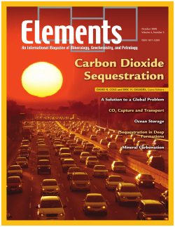 Carbon Dioxide Sequestration