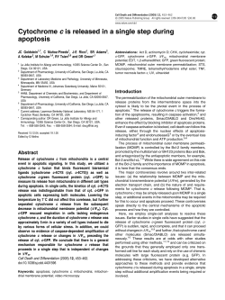 Cytochrome c is released in a single step during apoptosis